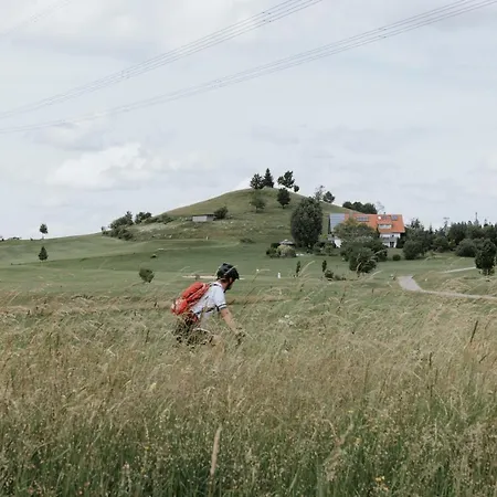 Alpenblick I Kamin I Private Sauna Wangen im Allgäu