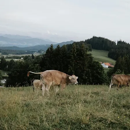 Alpenblick I Kamin I Private Sauna *